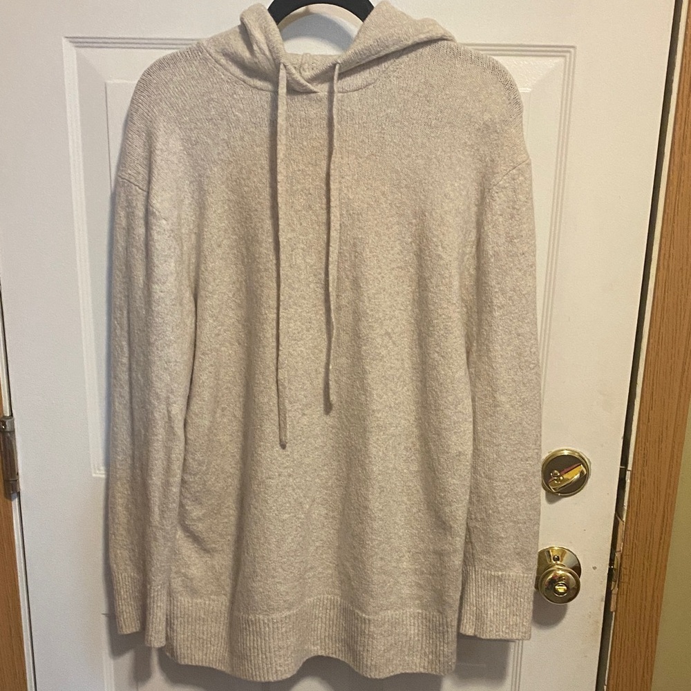 Cozy Everlane hooded tunic sweater